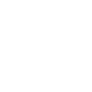 tiktok logo