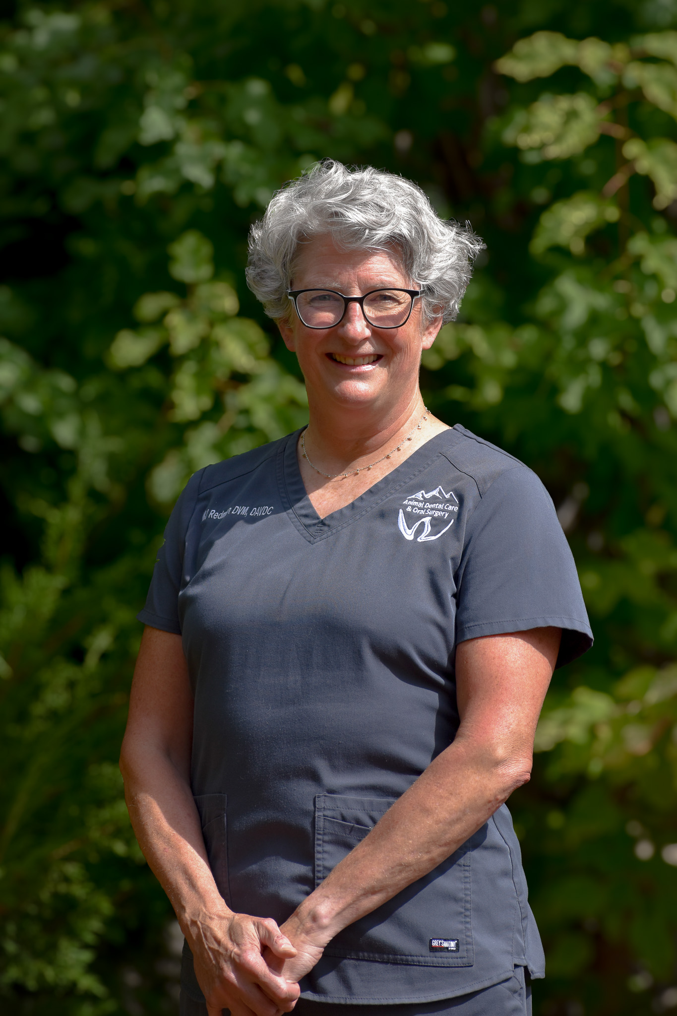 Dr. MJ Redman, veterinarian at Animal Dental Care and Oral Surgery in Fort Collins